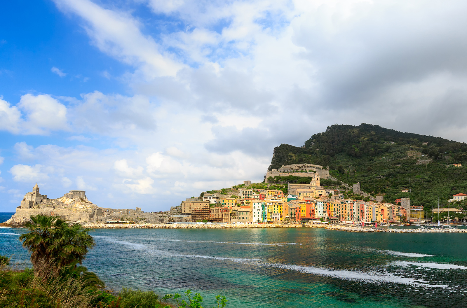 Tour privato alle Cinque Terre e Palmaria con GF Luxury Charter Rapallo